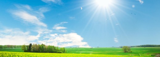 subpage_bg