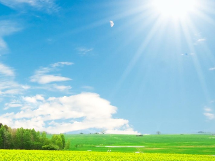 subpage_bg