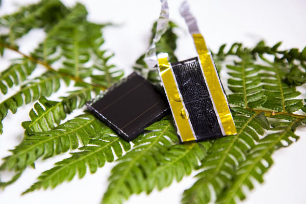 bio-inspired-solar-energy-storage