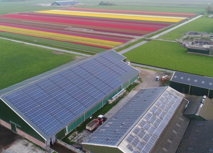 Pfalzsolar_Dach_photovoltaik_Dachanlage_niederlande_blumen