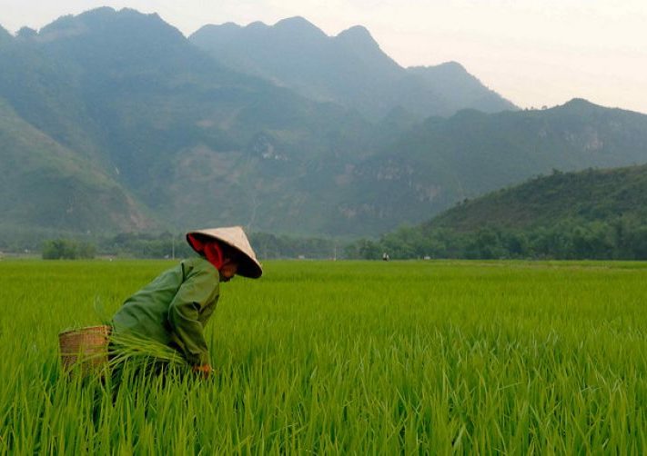 Vietnam_flickr_M_M_750