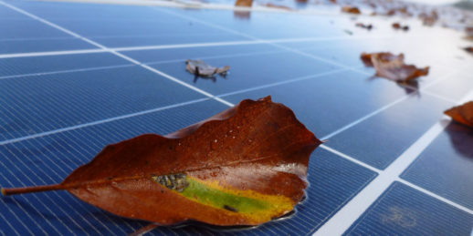 IE_Leipzig_Inspektion_Laub_Solarmodul_Herbst-1024x512