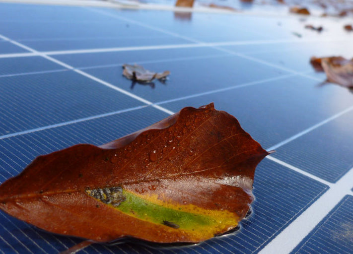 IE_Leipzig_Inspektion_Laub_Solarmodul_Herbst-1024x512