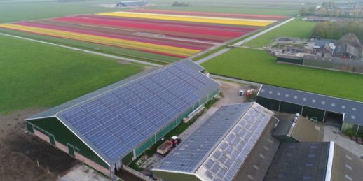 Pfalzsolar_Dach_photovoltaik_Dachanlage_niederlande_blumen-1024x512