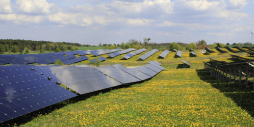 Adler_Solar_An_opt