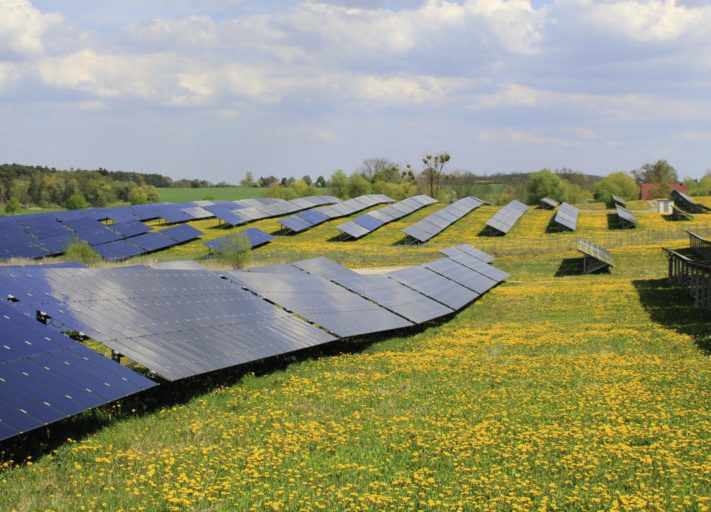 Adler_Solar_An_opt