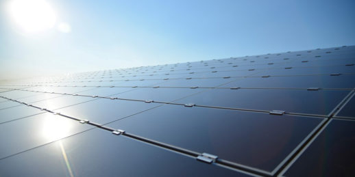 Belectric_Solarpark_Solarmodule