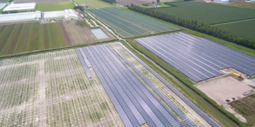 Goldbeck_Solar_Astronergy_Module_Niederlande_Bau_Solarpark