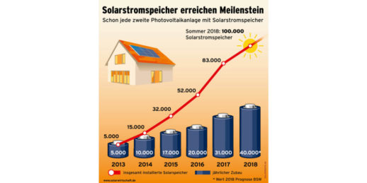 Grafik_BSW-Solar_Speicher_100 000
