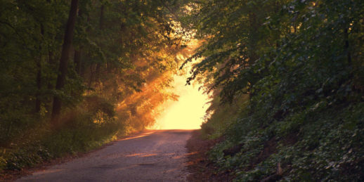 Sonne_Weg_Sommer_2018