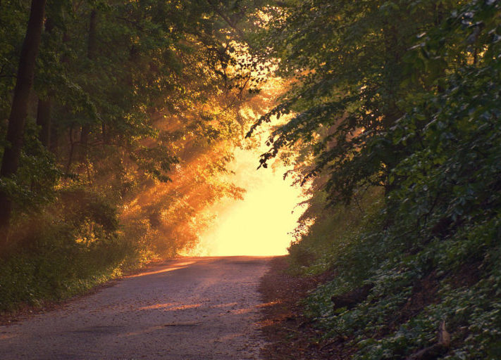 Sonne_Weg_Sommer_2018