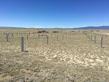 Palmer_Solar_Project_0cac504c54