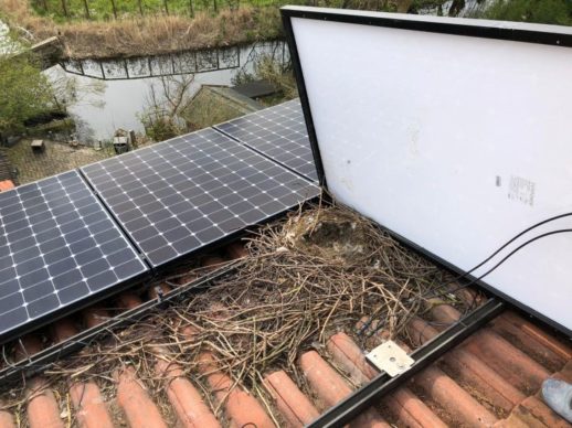 Van_der_Valk_Solar_Systems_BirdBlocker_2_(1)_750_563_80_s
