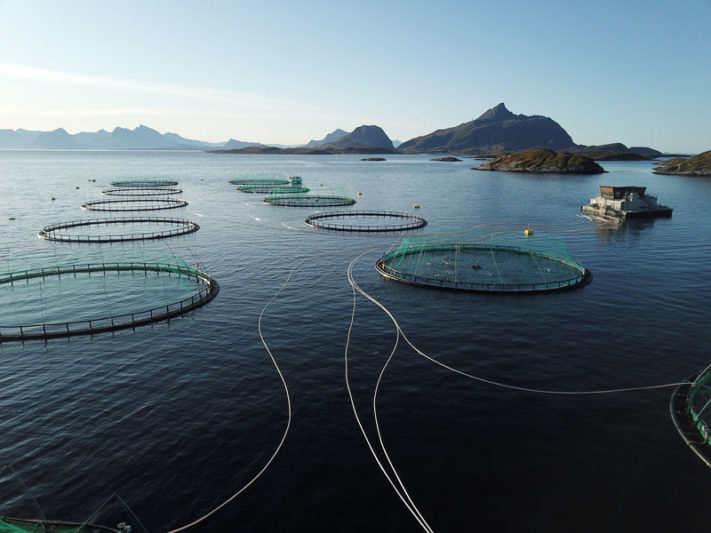AKVA_Group_Lachsfarm_in-Norwegen_mit_Tesvolt_800