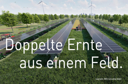 01_EWS-Sonnenfeld