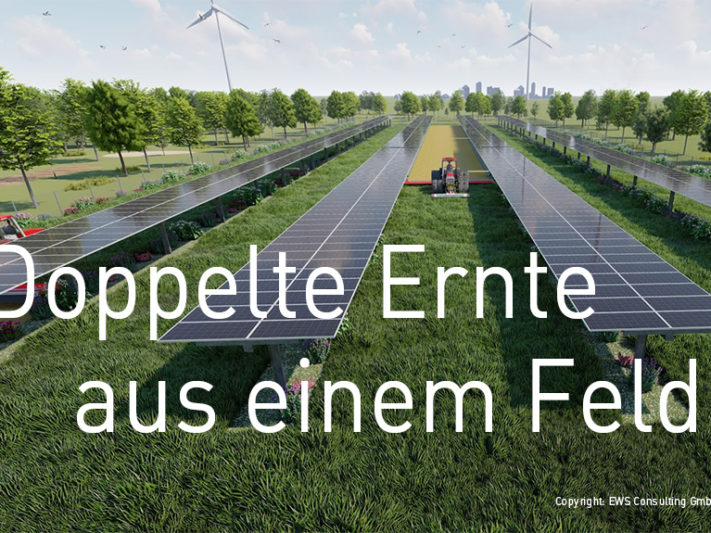 01_EWS-Sonnenfeld