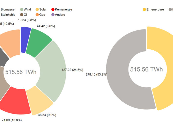 Fraunhofer_ISE_Energy_Charts_Auswertung_Nettostromerzeugung_2019