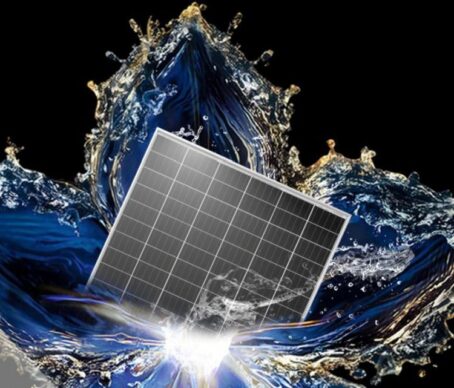 JinkoSolar_Tiger_module_2019_750_641_80_s