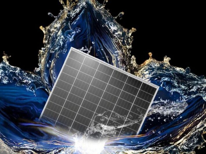 JinkoSolar_Tiger_module_2019_750_641_80_s