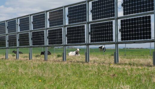 total-quadran-plante-des-panneaux-photovoltaiques