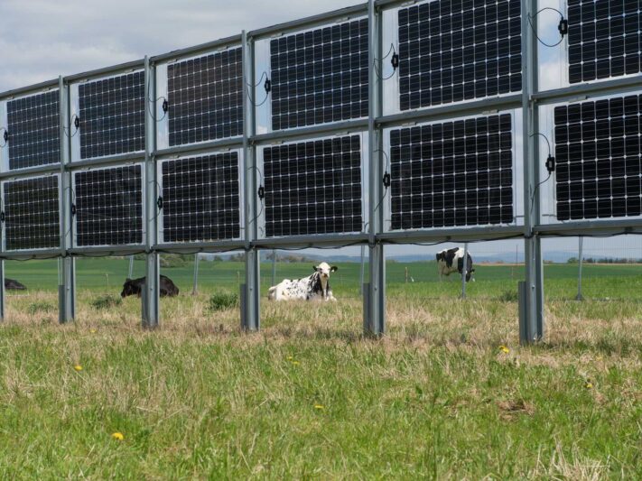 total-quadran-plante-des-panneaux-photovoltaiques