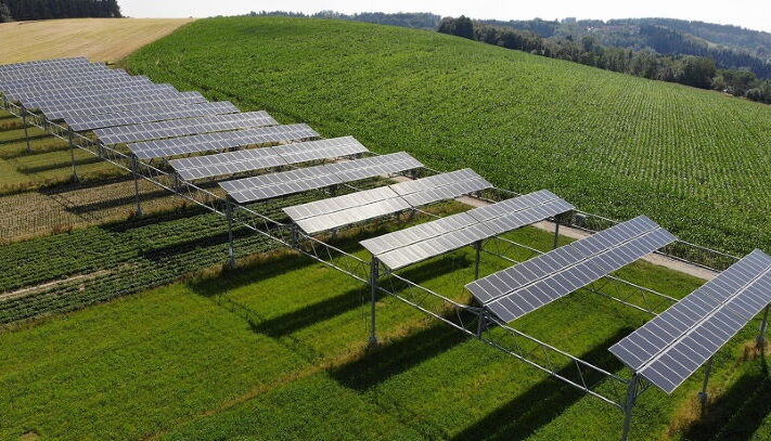 Agrivoltaic-solar-13-MW-Cyprus