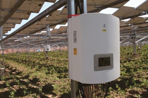 Ginlong_Solis_inverter_agrophotovoltaics_china_install_750_500_80_s