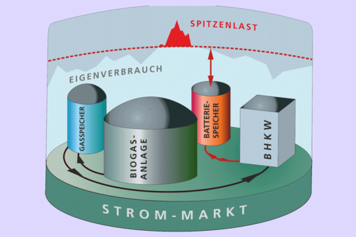 Fraunhofer_IEE_U_Werner-Bio_800