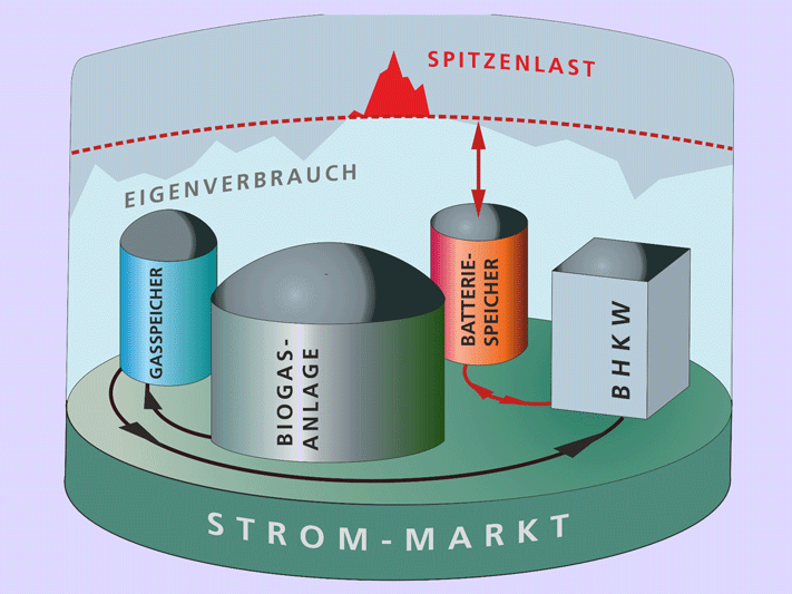 Fraunhofer_IEE_U_Werner-Bio_800
