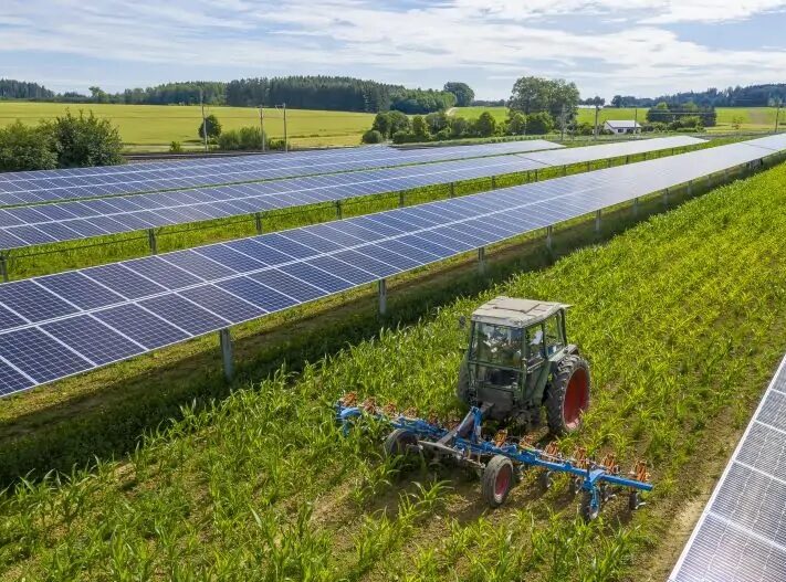 Intersolar_Agri-Photovoltaik_Solar_Promotion
