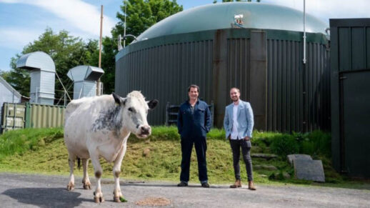 1623216071_cow_cryptomining_farm_(source_-_bbc)_story