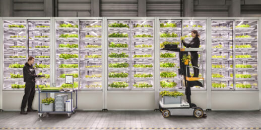 Image-16_9-1-1024x574_Infam_vertical_farming-e1633681091865