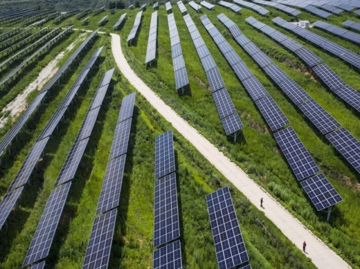 Solar Farm_0