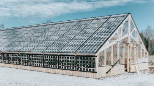 Solitek_Gewaechshaus_Solarmodul-1024x576